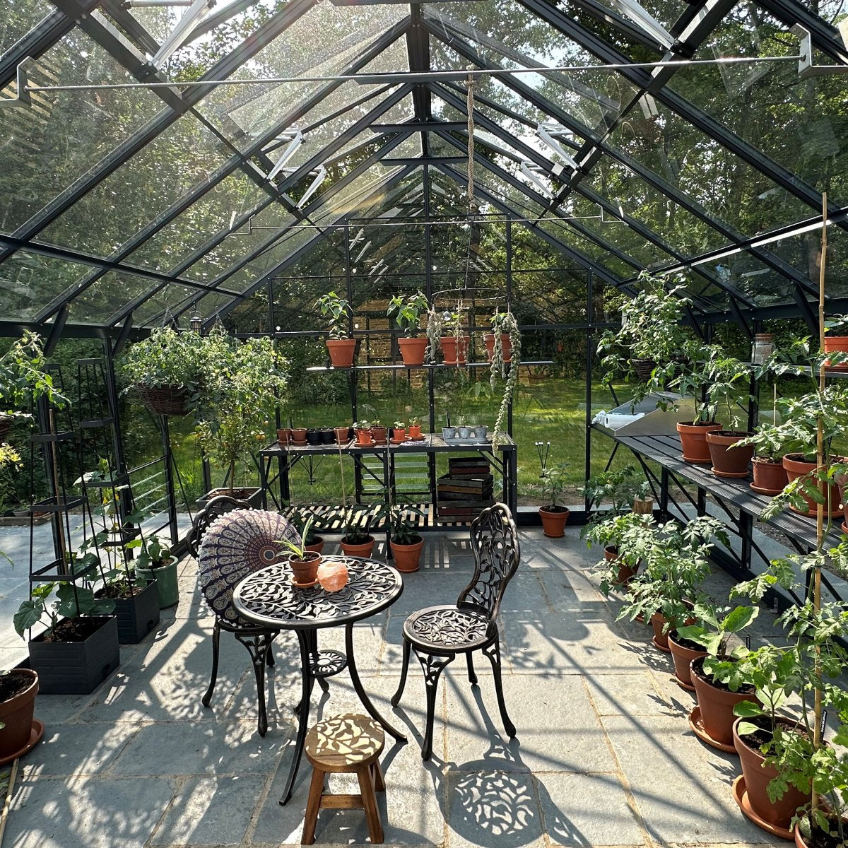 A glass Rhino Greenhouse contains potted plants on shelves and tables, with a metal table and chairs in the center. Sunlight filters through, illuminating the plants. Trees are visible outside.