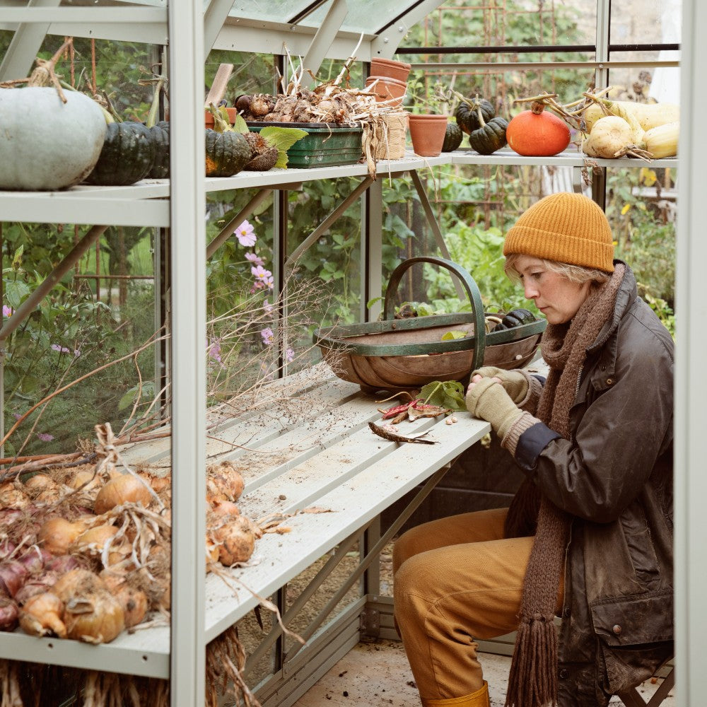 Person seated in a Rhino Greenhouse, sorting vegetables on a wooden bench. Various gourds, onions, and plants are organized on shelves, surrounded by leafy greenery outside.
