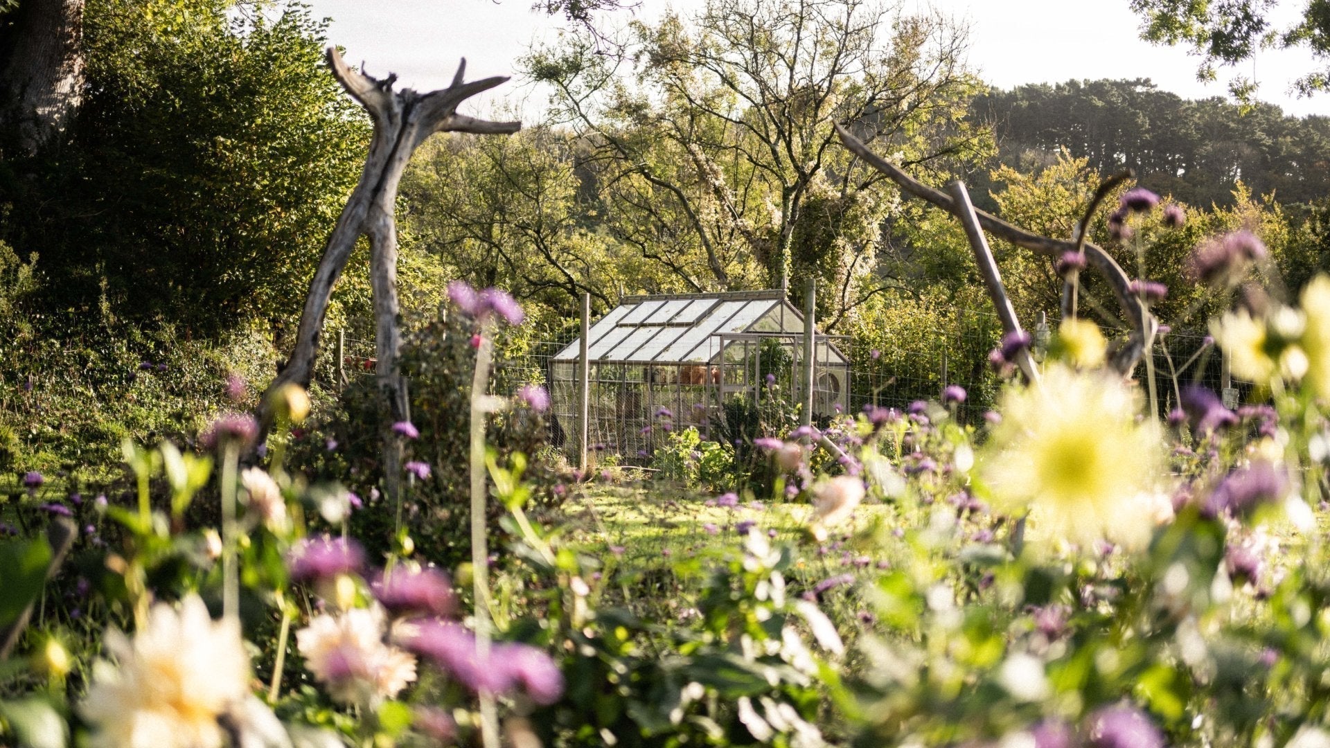 Autumn Gardening - Tips For Your Garden & Greenhouse This Autumn