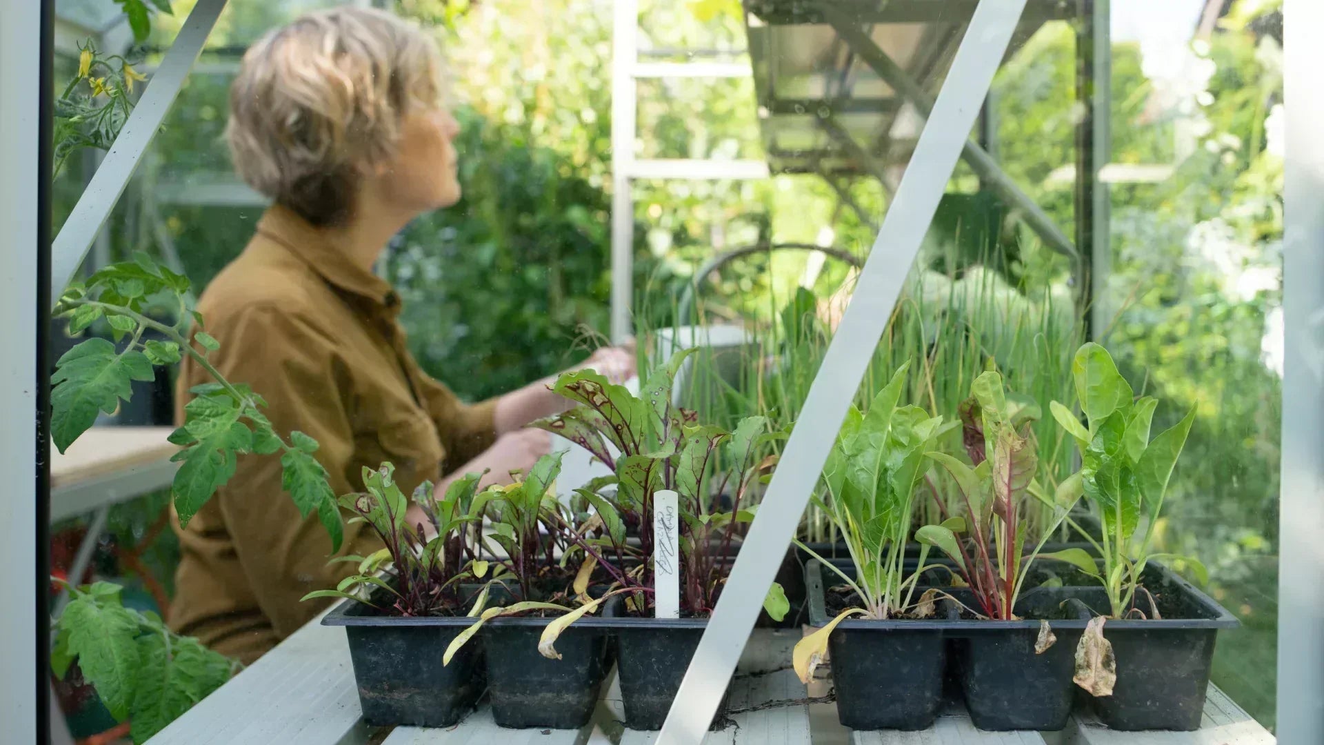 April - What To Sow, Grow & Do In The Greenhouse & Garden