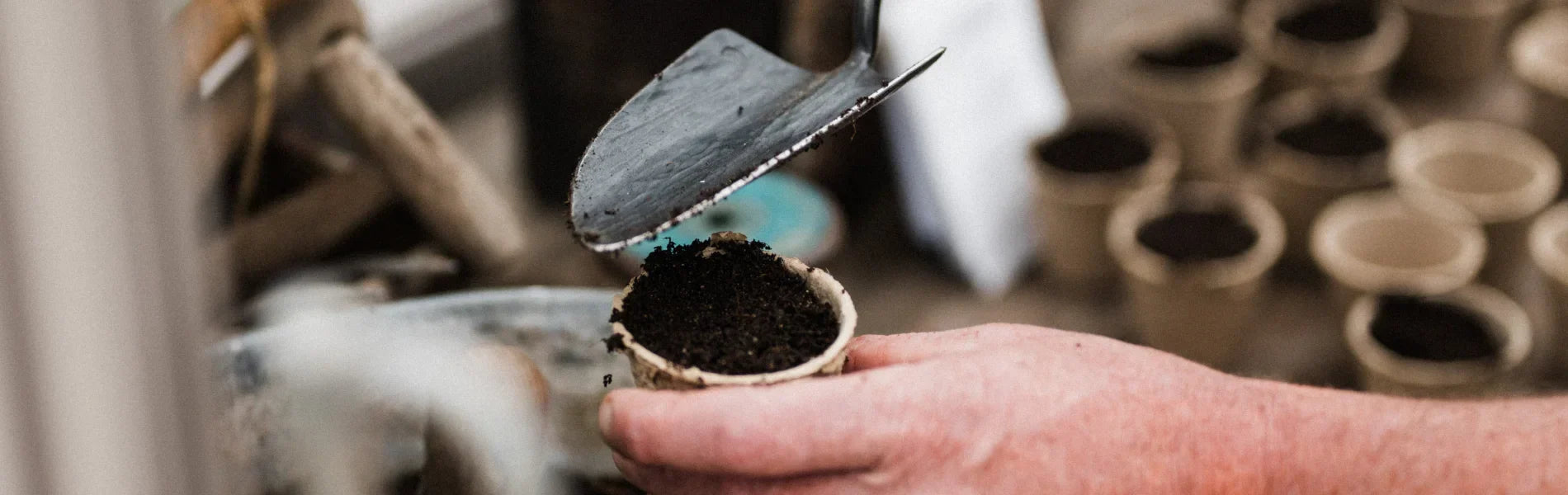 How To Clean & Disinfect Garden Tools