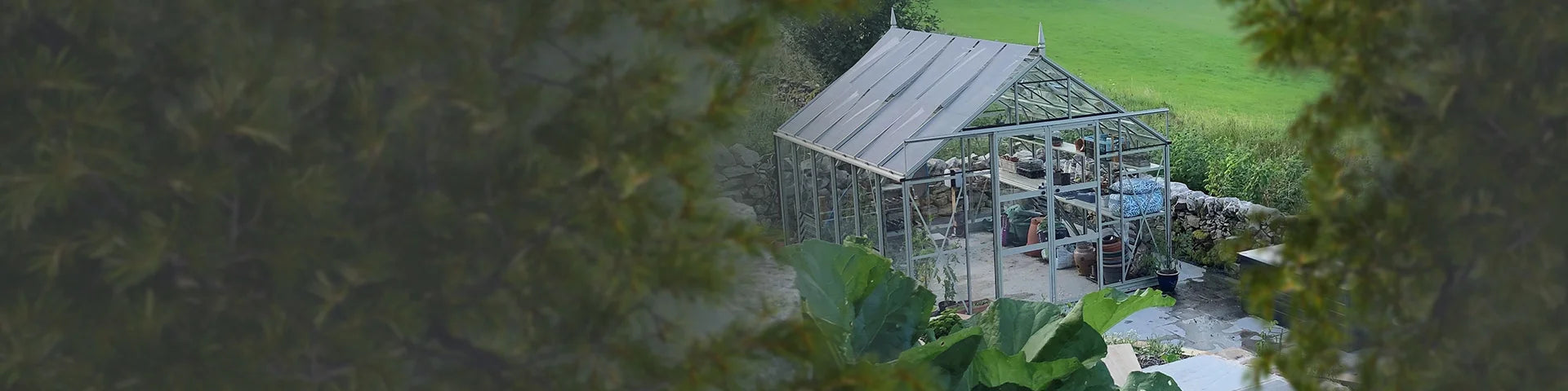 A glass Rhino Greenhouse stands in a garden setting, surrounded by lush greenery and a stone wall, with gardening tools and plants visible inside.