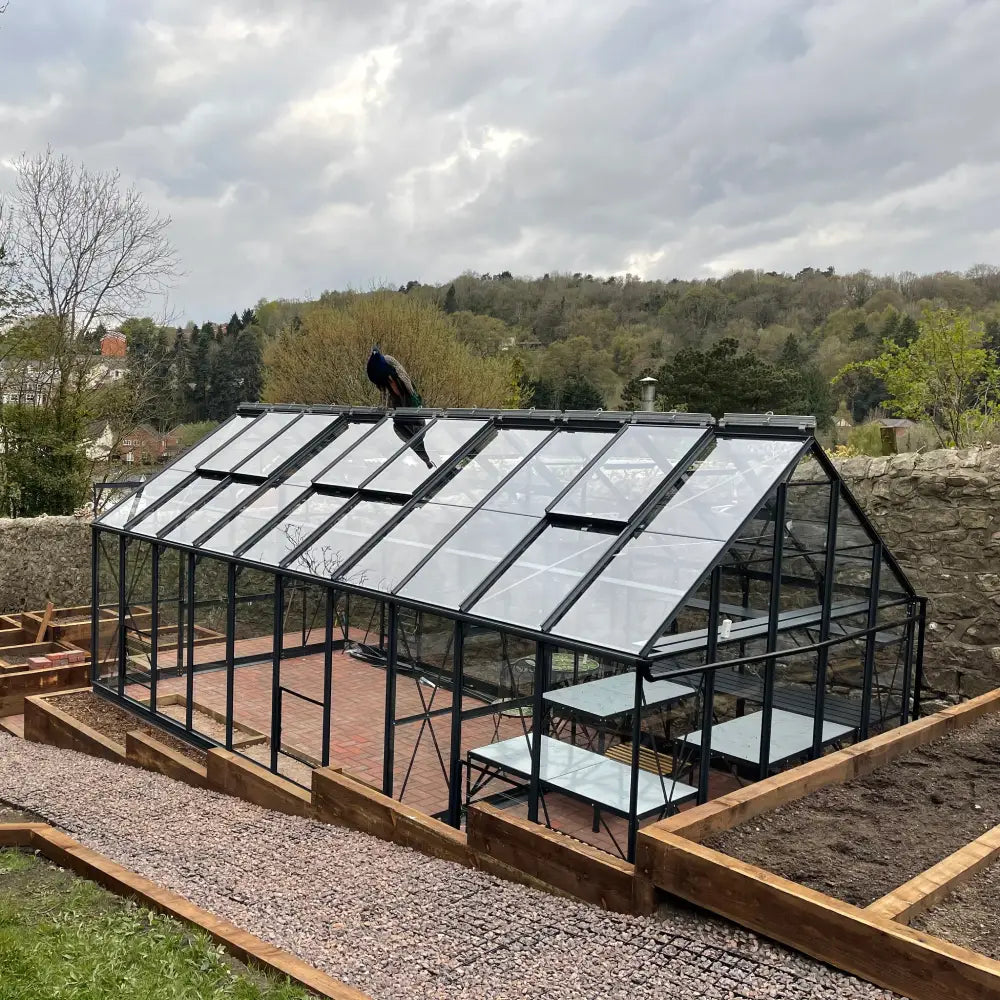 10x20 Premium in Midnight Slate with peacock on the roof