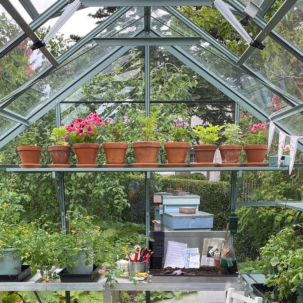 Terracotta pots with flowers and plants sit on shelves in a glass Rhino Greenhouse. Gardening tools and plant care items are arranged below. Lush greenery and trees surround the structure.