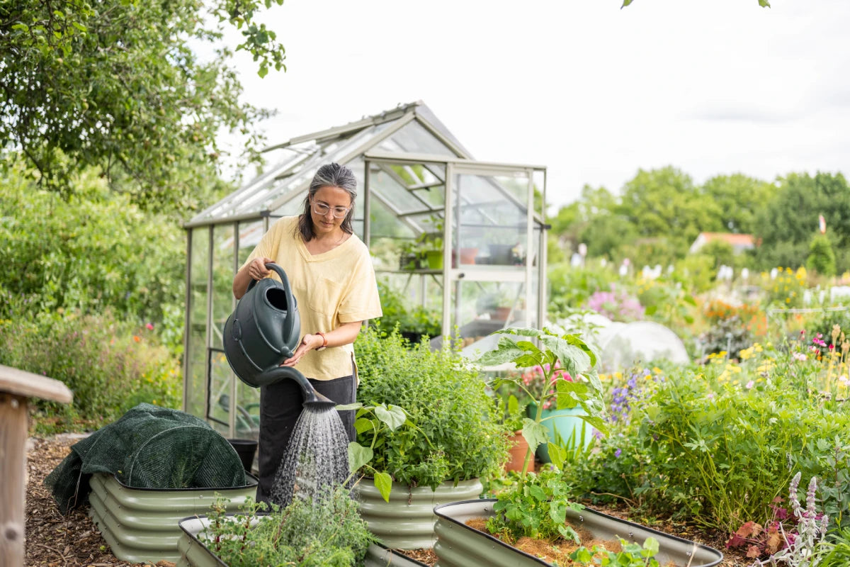 6ft Wide Greenhouses
