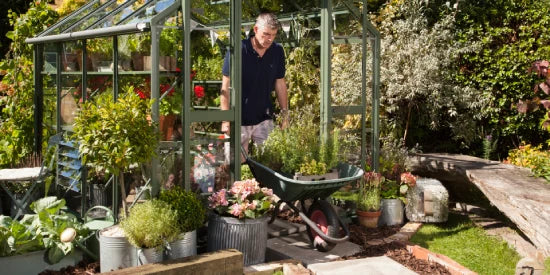 A person stands near a glass Rhino Greenhouse, moving a wheelbarrow full of plants. The garden is lush, with various potted plants and greenery surrounding the area.