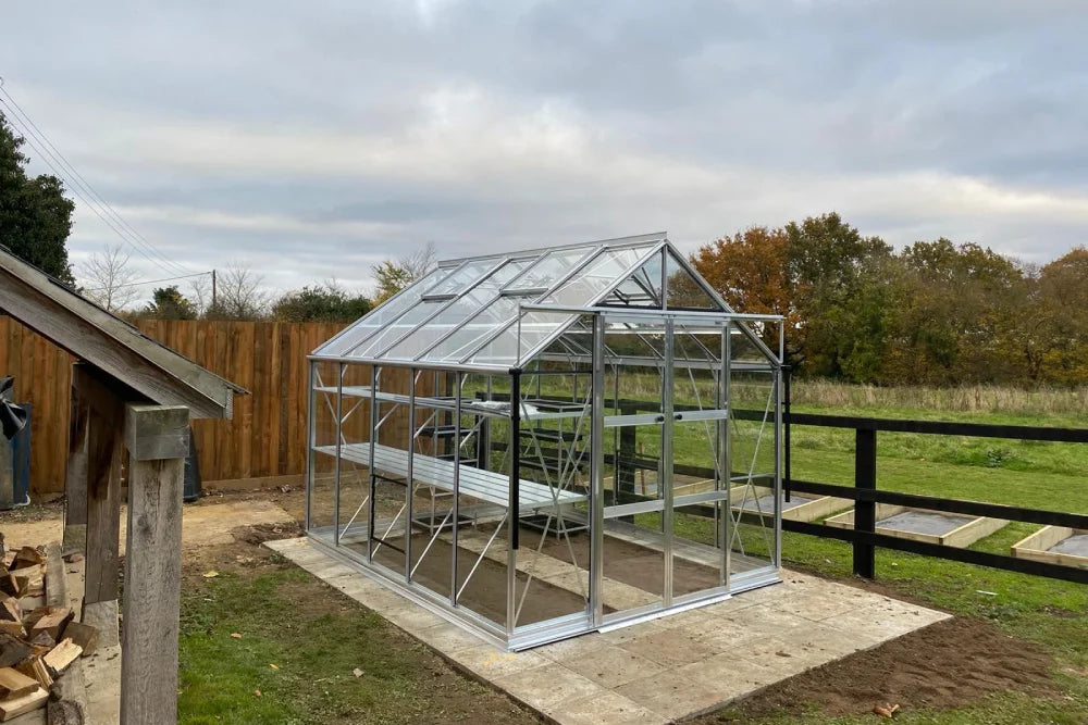 A glass Rhino Greenhouse stands on a paved area, with metal framing, in an outdoor setting surrounded by a wooden fence and lush greenery.