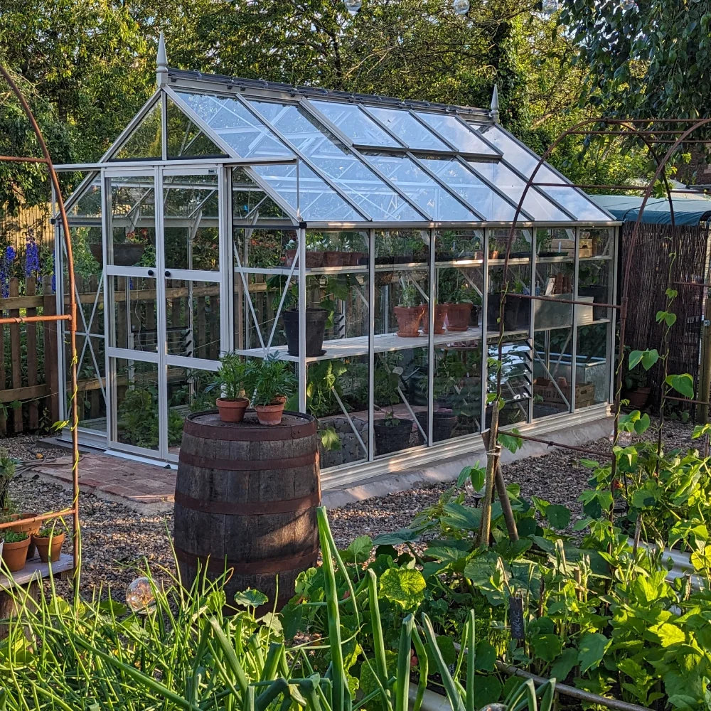 A glass Rhino Greenhouse stands amid a lush garden, housing potted plants on shelves. Nearby, a wooden barrel serves as a plant stand. The area is surrounded by greenery and garden structures.