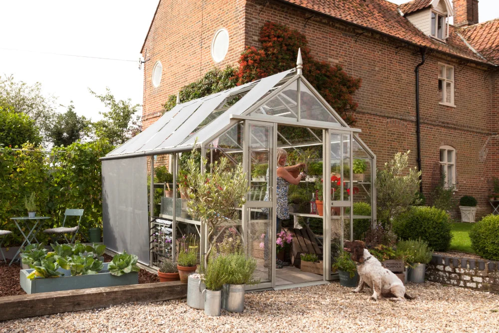 Rhino Greenhouse with a person tending plants inside, located in a garden beside a brick house. Surrounded by potted plants, outdoor furniture, and a dog sitting nearby.