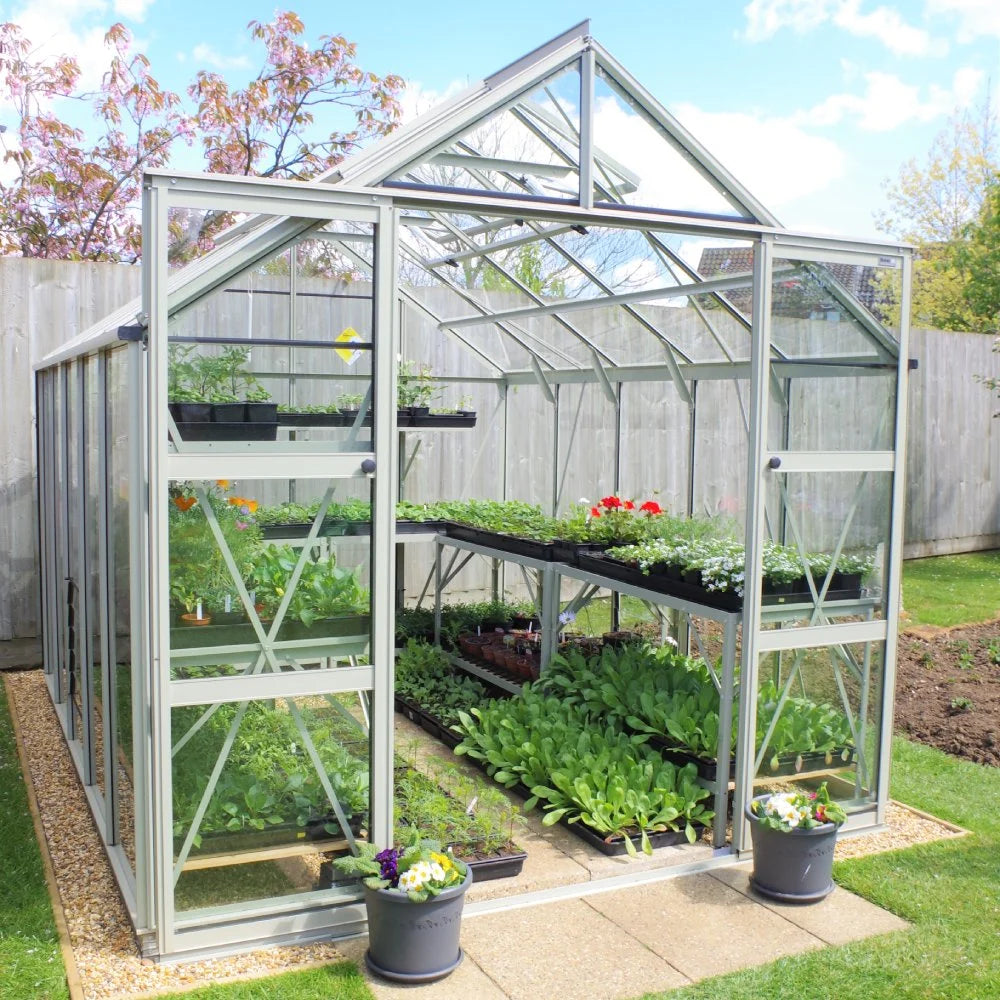 A glass Rhino Greenhouse with open doors houses various trays of green plants on shelves. It is set in a backyard with a wooden fence and surrounded by lush greenery.