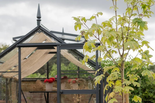 A black-framed Rhino Greenhouse with beige fabric shades houses potted plants with red flowers, set amidst a lush garden featuring a leafy tree, under a cloudy sky.