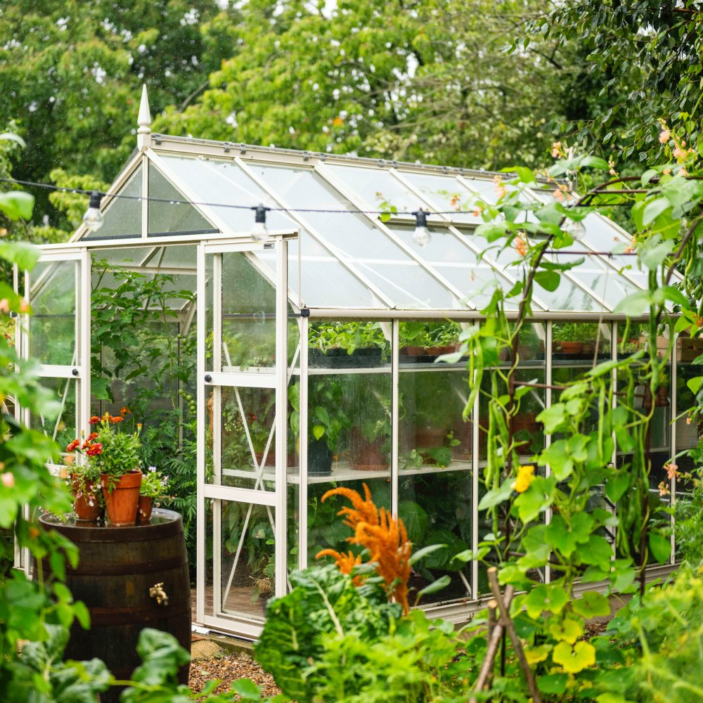 An antique ivory rhino greenhouse behind a wooden barrel surrounded by greenery and trees