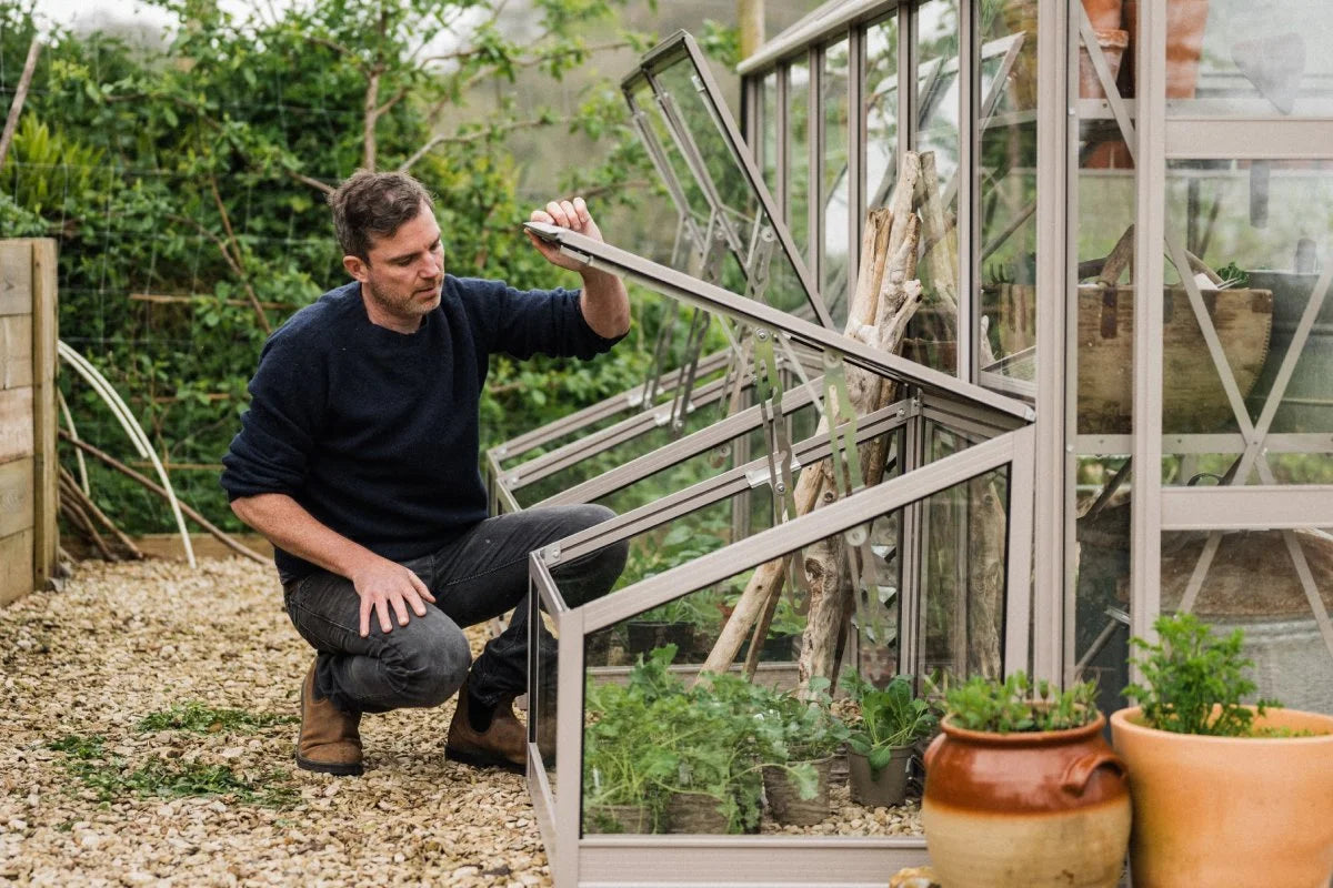 Cold Frame Greenhouses