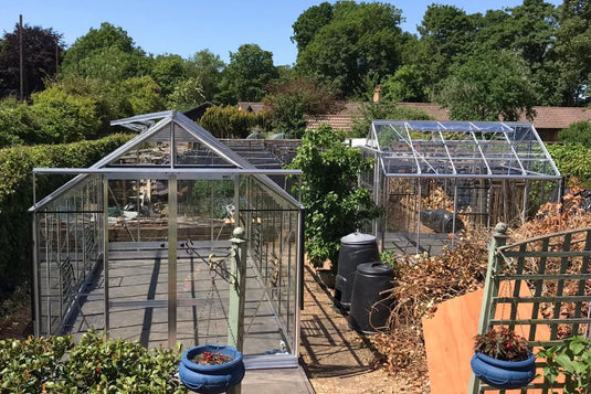 Two glass Rhino Greenhouses stand side by side in a garden surrounded by lush greenery and trees. Gardening tools and potted plants are visible in the area, suggesting active cultivation.