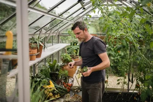 A man tends to plants inside a spacious Rhino Greenhouse filled with various greenery and potted plants on shelves, creating a lush and vibrant gardening environment.