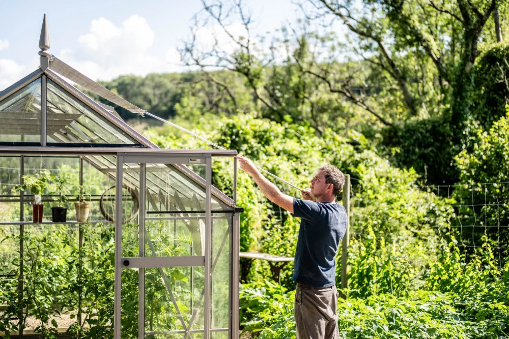 A man adjusts a window on a glass Rhino Greenhouse, surrounded by lush greenery. Three potted plants sit inside. The word Rhino appears on the door frame.