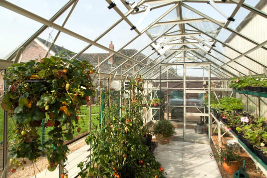 Rhino Greenhouse filled with lush green plants and vegetables growing in pots and hanging baskets. Sunlight filters through the glass panes, with a building visible outside.