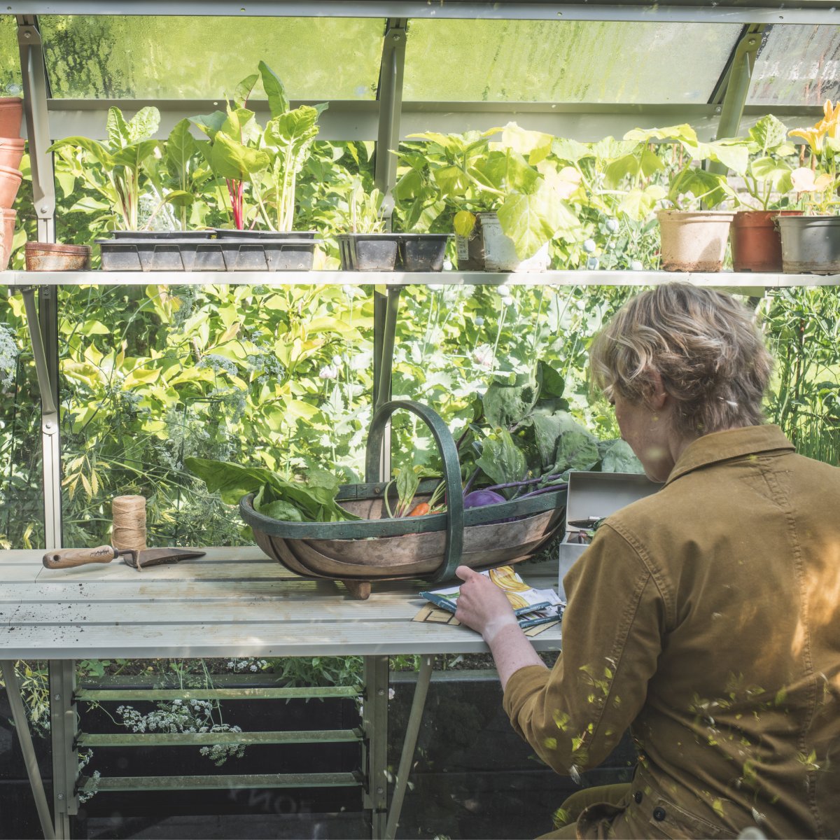 Person arranging seed packets on a wooden table in a Rhino Greenhouse with potted plants and gardening tools, surrounded by lush greenery.