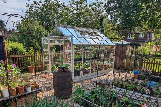 A glass Rhino Greenhouse houses various plants and gardening tools, situated in a well-organized backyard with potted plants, wooden fencing, and surrounding greenery under string lights.