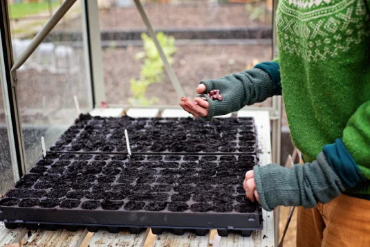 Person planting seeds in soil-filled trays on a Rhino Greenhouse table, wearing a green sweater and fingerless gloves, surrounded by garden beds visible through glass walls.