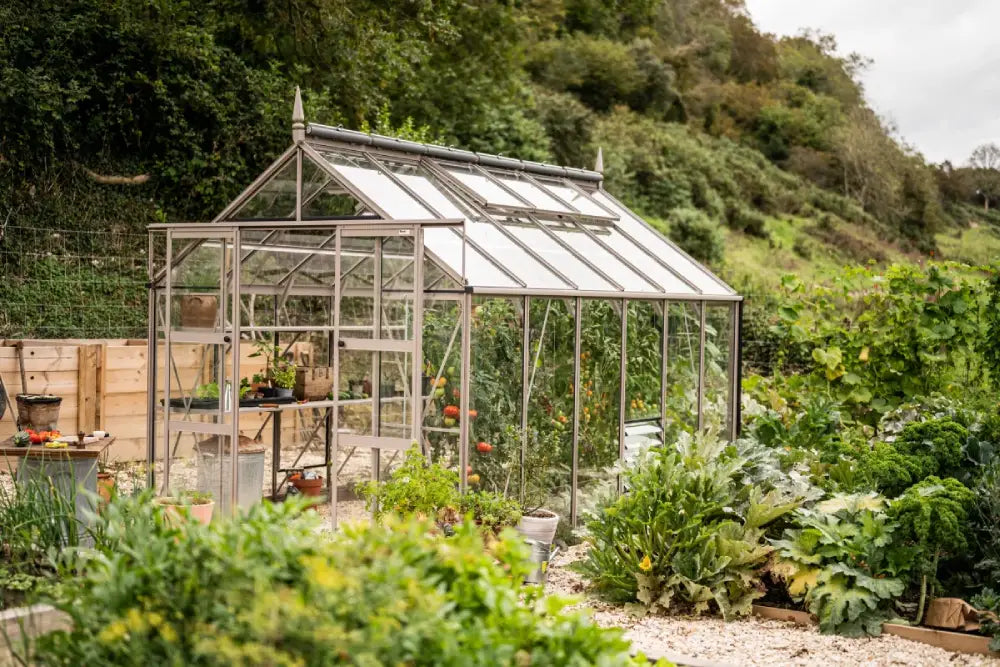 Glass Rhino Greenhouse; housing plants and gardening tools; situated in a lush garden with leafy plants and a wooded hillside in the background.