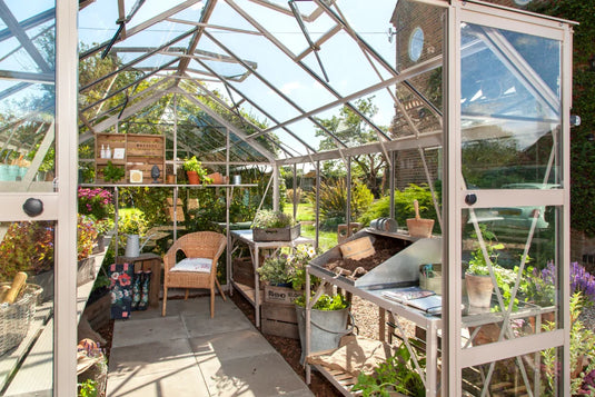 A spacious Rhino Greenhouse with transparent panels contains plants on shelves, a wicker chair, and gardening tools. Sunlight filters in, and outside, a garden is visible.
