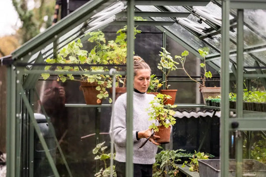 A person tends to plants in a Rhino Greenhouse, holding a potted plant. The Rhino Greenhouse, constructed of glass and metal, houses various green plants. Trees are visible outside in the background.
