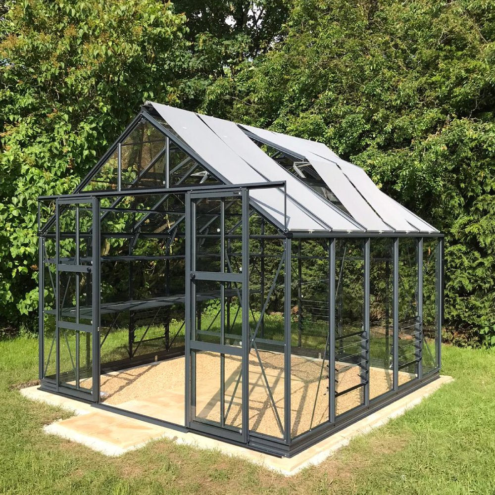 A glass and metal Rhino Greenhouse stands empty on a concrete slab, surrounded by lush green foliage. Sunlight filters through its transparent panels, highlighting its sturdy, modern structure.