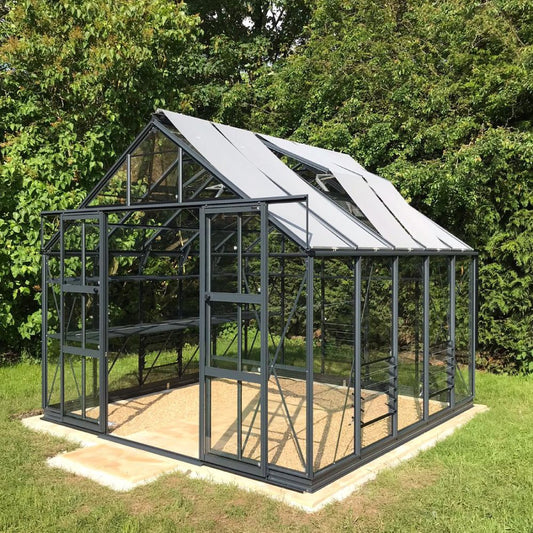 A glass and metal Rhino Greenhouse stands empty on a concrete slab, surrounded by lush green foliage. Sunlight filters through its transparent panels, highlighting its sturdy, modern structure.