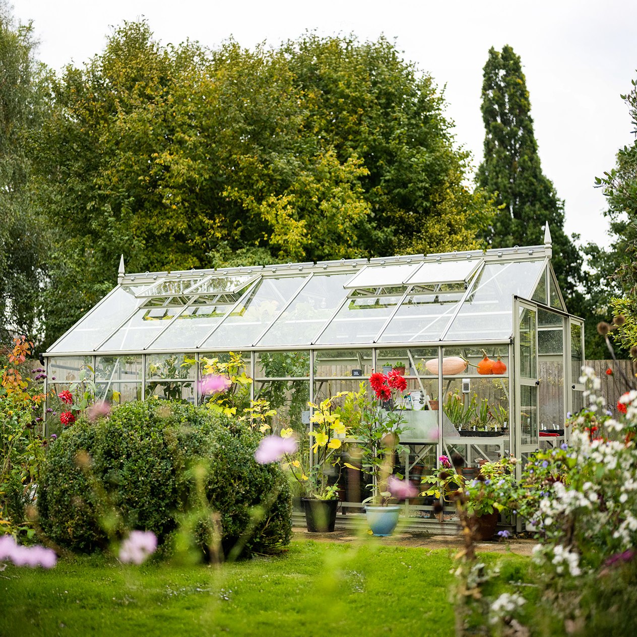 8x16 Rhino Premium surrounded by greenery