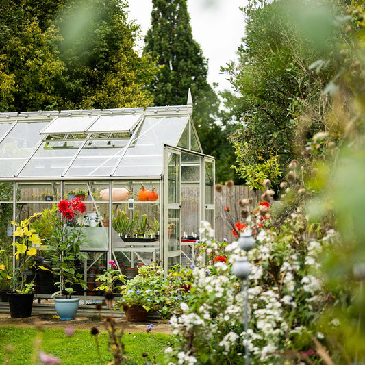 8x16 Rhino Premium surrounded by greenery