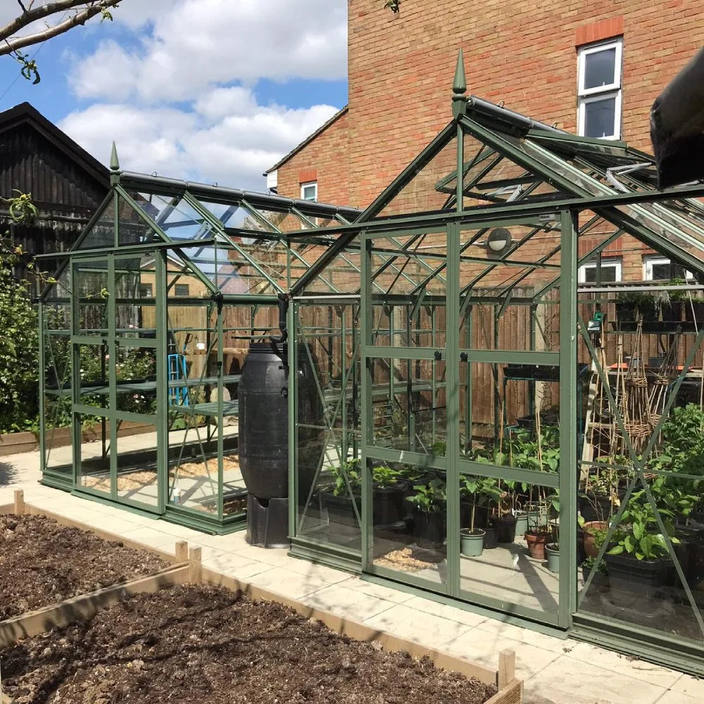 Two green metal-framed glass Rhino Greenhouses housing various plants sit in a backyard garden. A black water barrel stands beside the Rhino Greenhouse, surrounded by a wooden fence and neighboring houses.