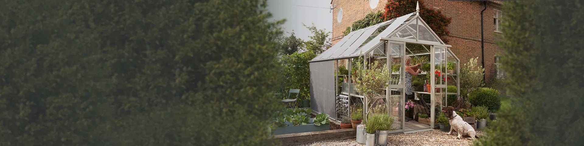A Rhino Greenhouse stands in a garden with a person tending plants inside. A dog sits nearby on gravel, surrounded by various potted plants and a brick house backdrop.