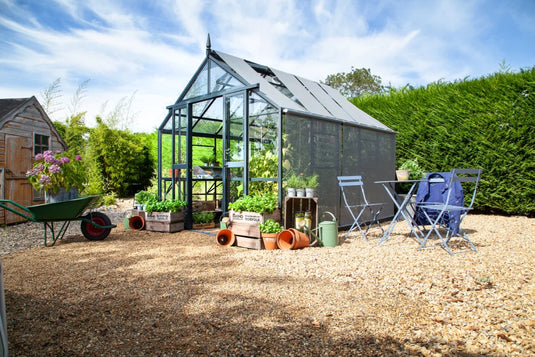 A glass Rhino Greenhouse houses plants; crates with RHINO NORFOLK labeled on them surround it. Nearby, blue patio furniture and gardening tools rest on a gravel surface, bordered by greenery.
