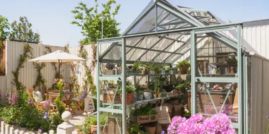 A glass Rhino Greenhouse filled with potted plants and gardening tools stands in a sunlit garden. Nearby, a patio table and umbrella provide a relaxing outdoor seating area.