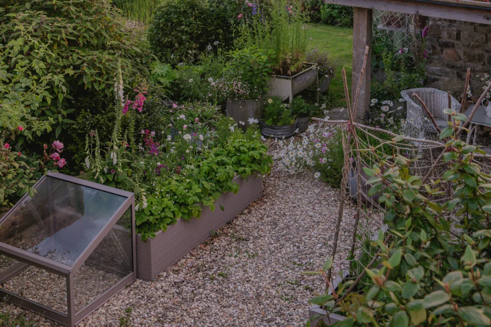 A small Rhino Greenhouse sits on gravel beside lush flowerbeds filled with various blooming plants; wooden structures and garden furniture are visible in a cozy garden setting.