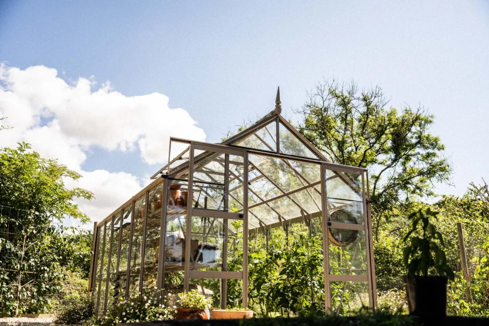 A glass Rhino Greenhouse stands amidst lush greenery, housing various plants with sunlight streaming through. Nearby, trees and plants surround it under a clear blue sky.