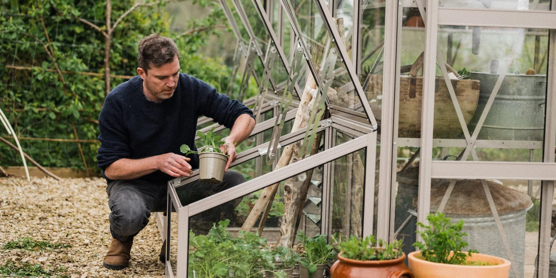 Man kneels, placing a potted plant inside a glass Rhino Greenhouse. The garden environment features lush greenery and gravel. Other gardening tools and pots are visible in the background.