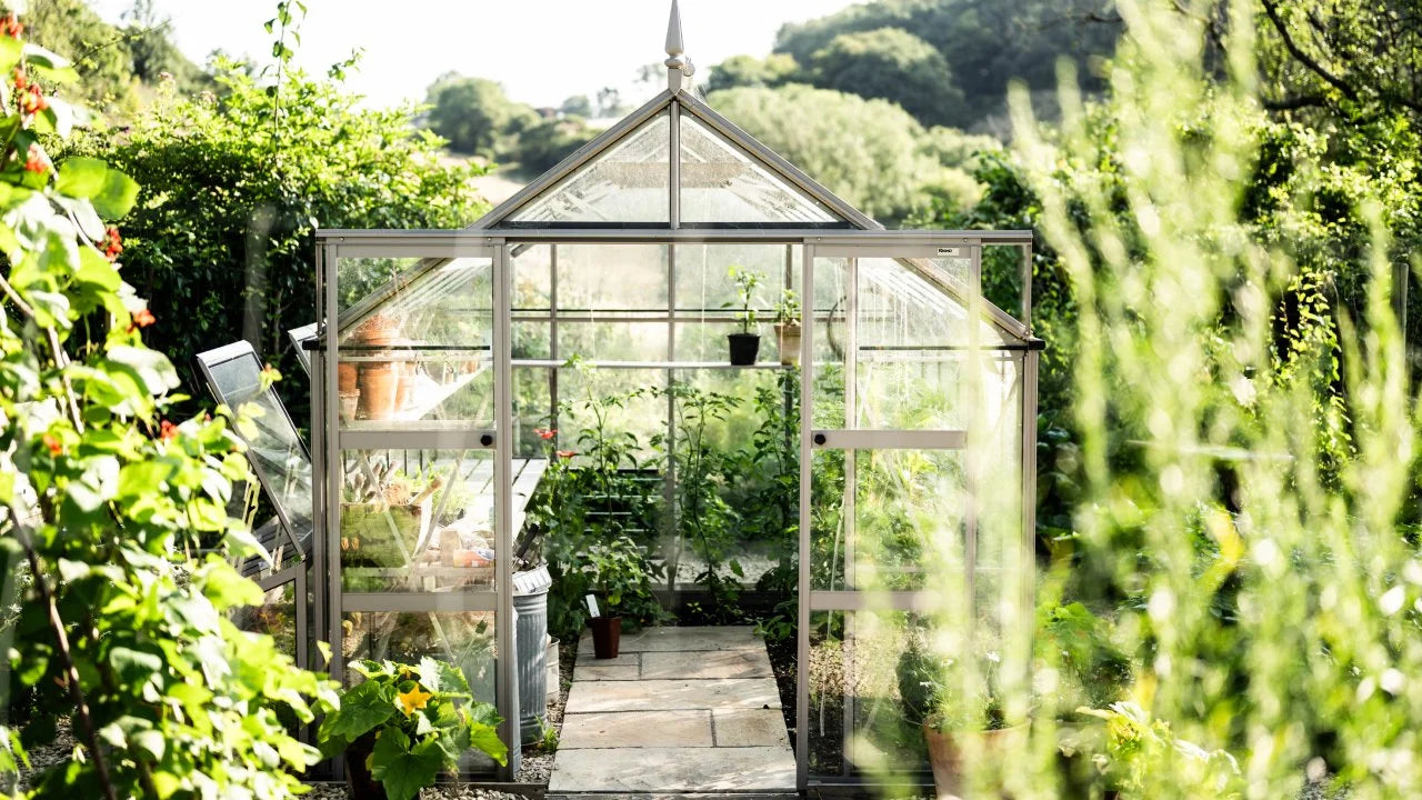 A glass Rhino Greenhouse stands with open doors, housing various plants and pots. It's surrounded by lush greenery and sunlit trees, creating a vibrant garden setting.