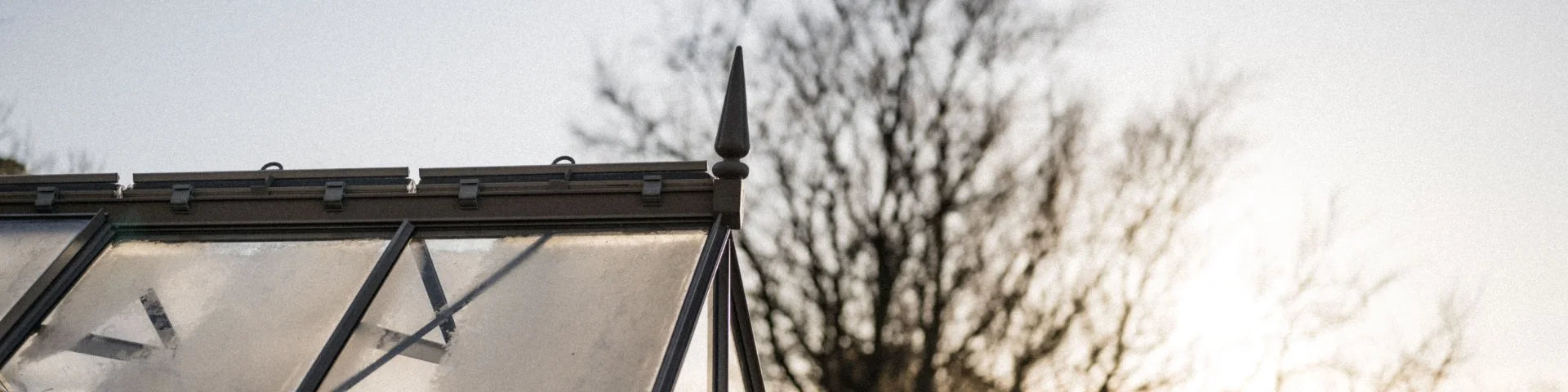 Rooftop of a Rhino Greenhouse with frosted glass panels and a decorative finial, under a clear sky. Bare trees are visible in the blurred background.