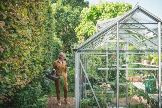 A person carries a gardening tray beside a glass Rhino Greenhouse filled with plants, surrounded by lush greenery and trees.