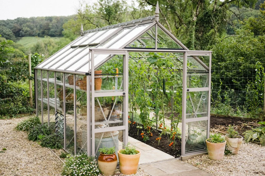 A glass-panelled Rhino Greenhouse with growing plants inside is surrounded by a gravel path and potted flowers, set in a lush, green garden landscape.