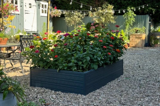 Raised flower bed with blooming colorful flowers, surrounded by gravel in a garden. Background features chairs, a table, string lights, and a shed, creating a cozy outdoor space.