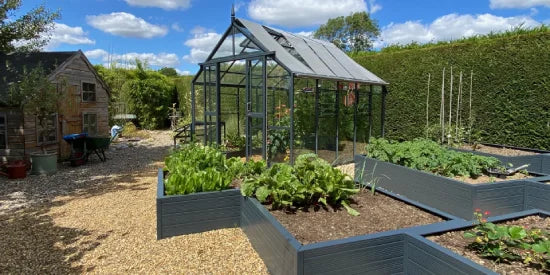 A glass Rhino Greenhouse stands in a garden, surrounded by raised beds with growing plants. The area is bordered by hedges and additional wooden structures are visible under a clear sky.