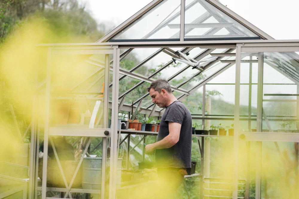 A person tends to plants inside a glass Rhino Greenhouse, surrounded by lush greenery. The Rhino Greenhouse features shelves with potted plants, possibly highlighting gardening activities and accessories associated with Rhino Rhino Greenhouses.