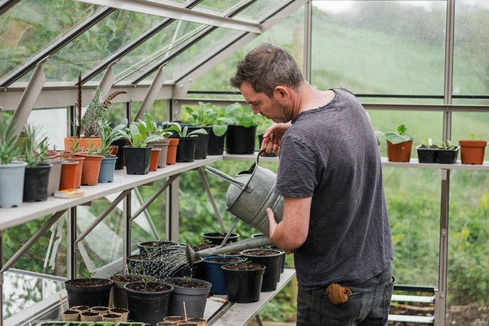 Man waters plants with a metal can inside a glass Rhino Greenhouse. Numerous potted plants neatly arranged on shelves; lush greenery visible outside through clear panels.