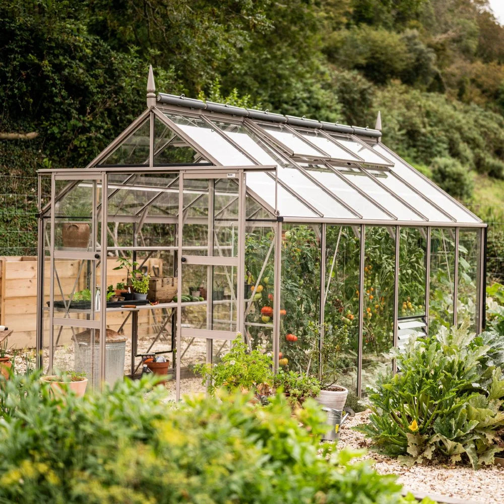Glass Rhino Greenhouse filled with various plants, including tomatoes, set in a lush garden environment with wooden fencing and greenery surrounding it.