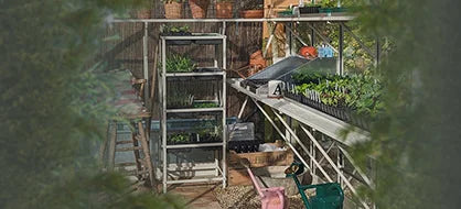 Shelves filled with potted plants stand inside a Rhino Greenhouse. A table nearby holds seedlings in trays. Gardening tools and containers are scattered around, with lush vegetation visible through the window.