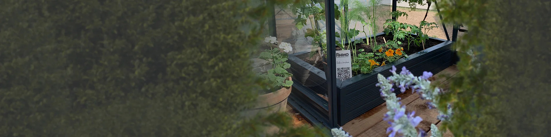 A Rhino Greenhouse contains vibrant plants and flowers, with a sign reading, RHINO - Order a brochure, alongside a QR code. It's set on a wooden floor, surrounded by greenery.