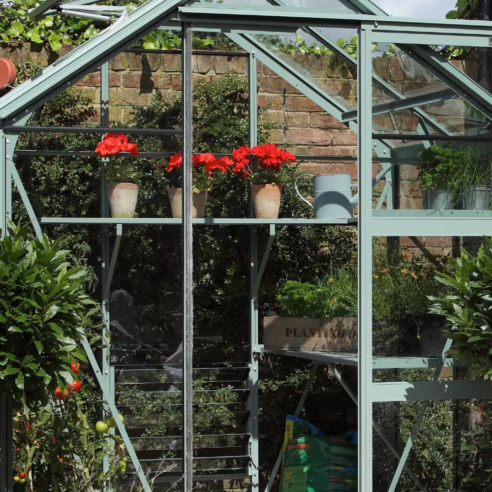Greenhouse with red flowers blooming in pots on a shelf, a watering can beside them; surrounded by lush plants and a brick wall backdrop under natural light.